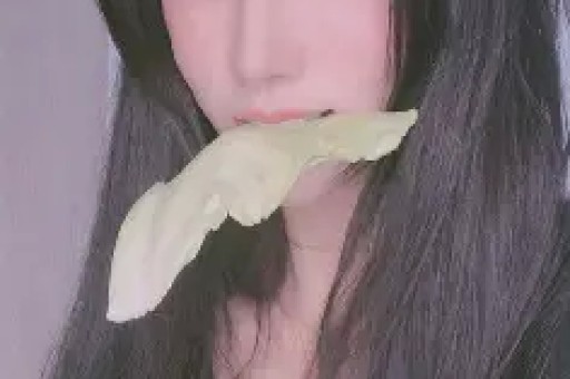 百万粉丝